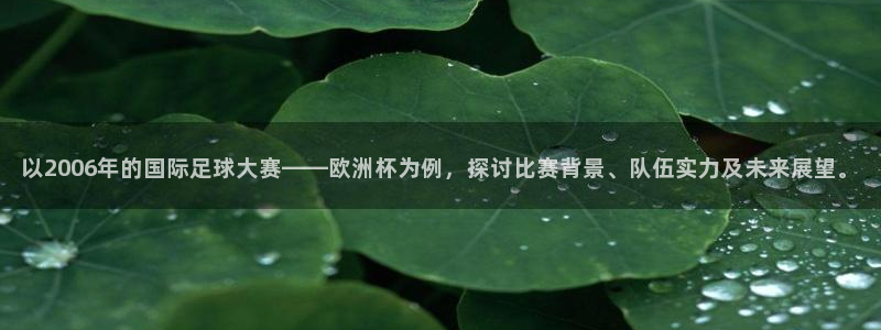 看世界杯：以2006年的国际足球大赛——欧洲杯为例，探讨比赛背景、队伍实力及未来展望。