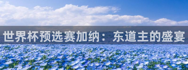 世界杯足球赛2026赛程时间：世界杯预选赛加纳：东道主的盛宴