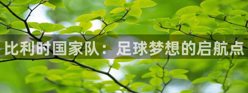 世界杯直播免费观看：比利时国家队：足球梦想的启航点