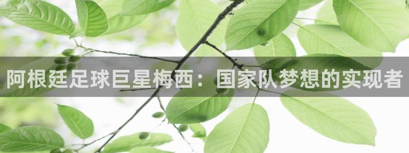 世界杯预选赛欧洲赛区积分榜：阿根廷足球巨星梅西：国家队梦想的实现者