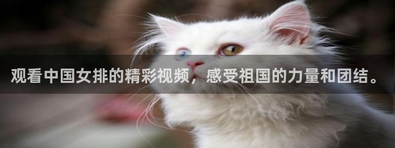 世界杯比赛时间：观看中国女排的精彩视频，感受祖国的力量和团结。