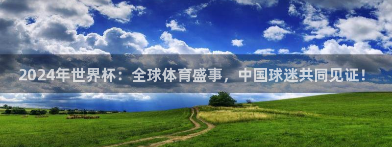 世界杯预选赛规则：2024年世界杯：全球体育盛事，中国球迷共同见证！