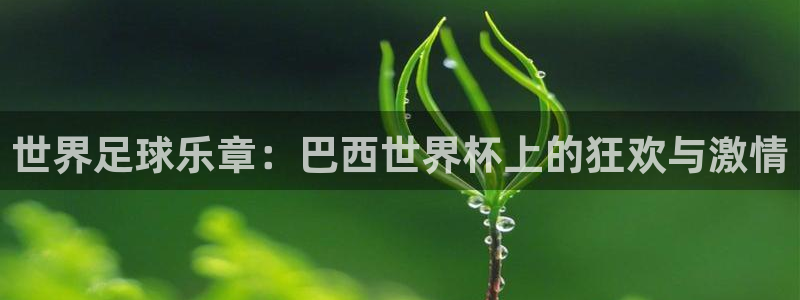 世界杯欧洲预选赛：世界足球乐章：巴西世界杯上的狂欢与激情