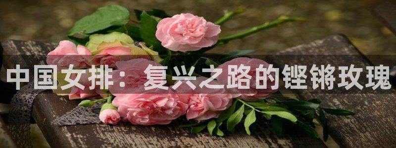 国际足联世界杯：中国女排：复兴之路的铿锵玫瑰