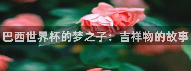 世界杯决赛预测：巴西世界杯的梦之子：吉祥物的故事