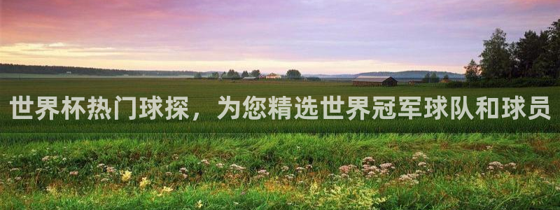 2026 世界杯：世界杯热门球探，为您精选世界冠军球队和球员