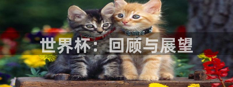 世界杯转播表：世界杯：回顾与展望