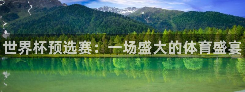 世界杯欧洲预选赛：世界杯预选赛：一场盛大的体育盛宴