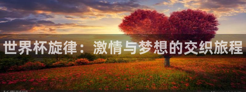 世界杯赛程时间表：世界杯旋律：激情与梦想的交织旅程