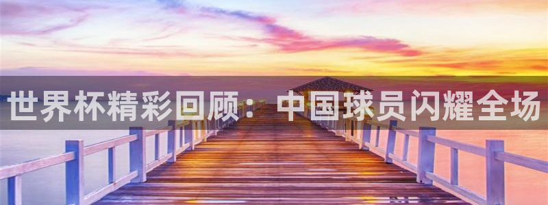 世界杯2026比赛时间表：世界杯精彩回顾：中国球员闪耀全场